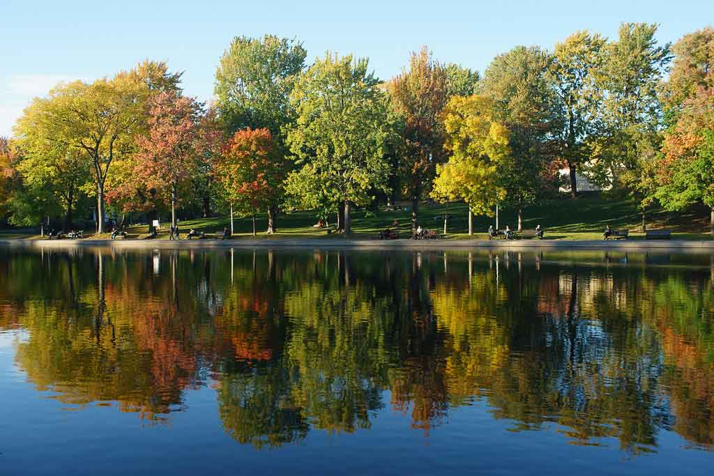Houses For Sale in Vimont
